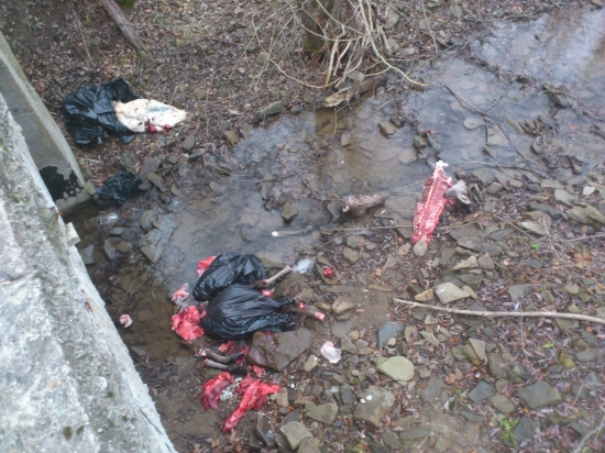 pytliaci alebo polovnici?