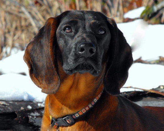 Treska z Krainy Przdkow