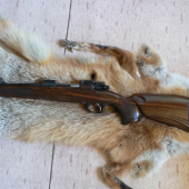 nova pazba M98