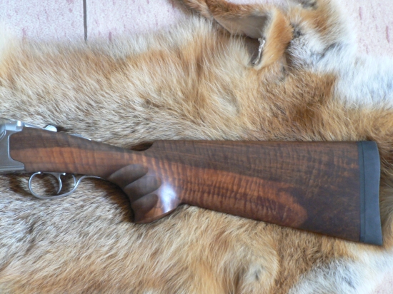 pazba na brokovou kozlici HUGLU