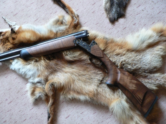 kulobrok UB-nove zapazbeni