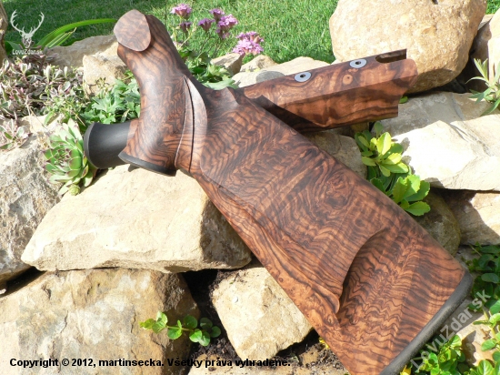 Blaser R93