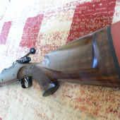 CZ 550 American