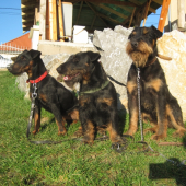 súrodenci :)
