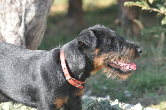 moja pomocníčka :)