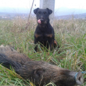 Brixi Pohranická perla