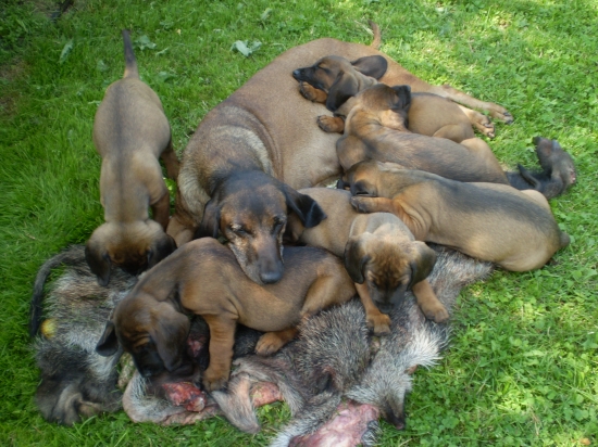 ...konečne trošku unavení :-)