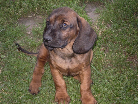 ...čo ma v živote čaká?