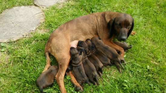 Mama a 7 statočných... :)