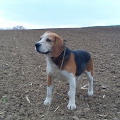 Beny