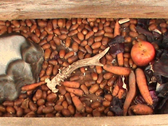 Včerajšie prekvapenie v krmelci