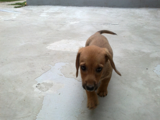 nový prírastok do našej rodiny