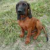 Alan