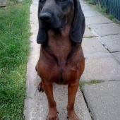 Alan