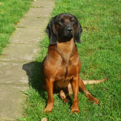 Alan