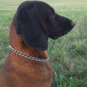 oddychujeme v prírode