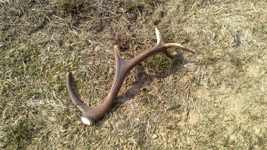 prvý spoločný s dcérou