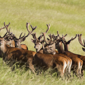 Do radu, fotíme sa !