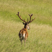 Vedúci sa mi zadkom otočil