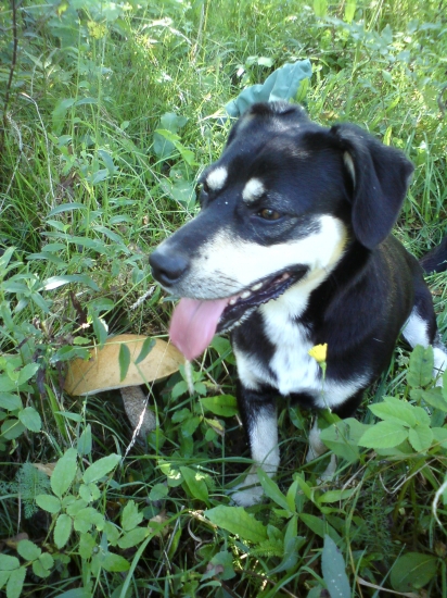 nikdy niesom sam na hubach :)