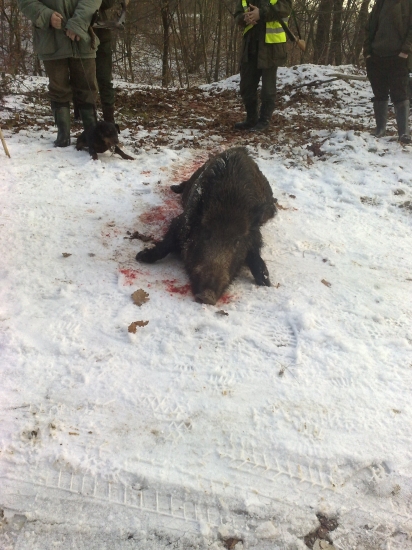 Silvestrovsky kanček