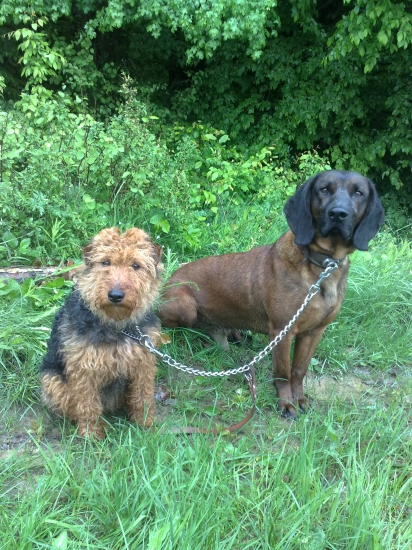 učime sa odloženie