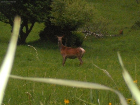 fotene pred hodinou!