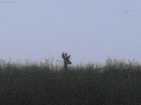 fotene v noci cca. 100 metrov