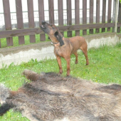 už neutečieš :)))