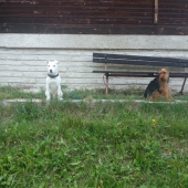 Meďo & Xara