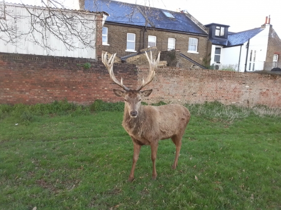v nedeľu ešte mal na hlave
