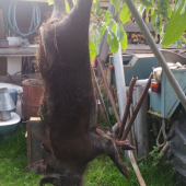 Pondelkove šťastie