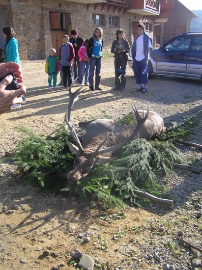 Hubertove dni - Slnečný majer: 2008