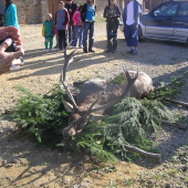Hubertove dni - Slnečný majer: 2008