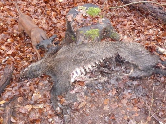 Našiel ale neskoro!