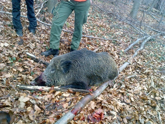 ?