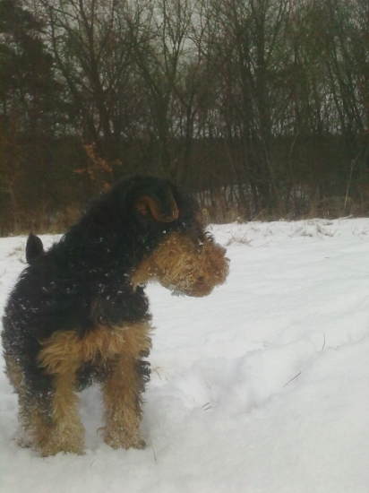 Xara z Bôrovej dolinky