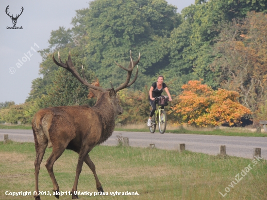 Richmond park