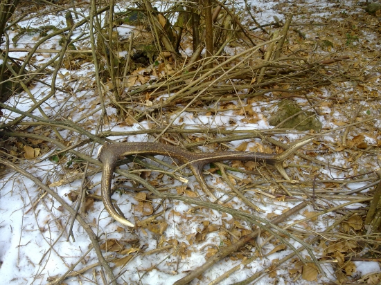 potešil aj taky ked bol v ten den treti