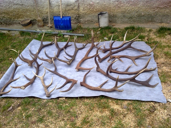 toho roku z ineho uhla