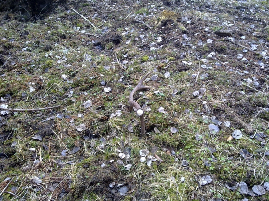 taktoka si tam svietil