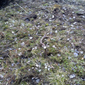 taktoka si tam svietil