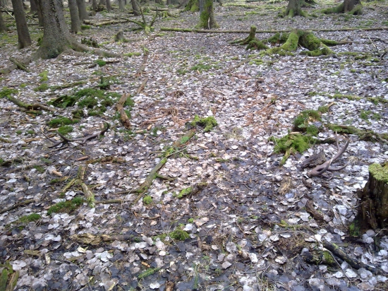 pohlad ktory poteši