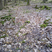 pohlad ktory poteši