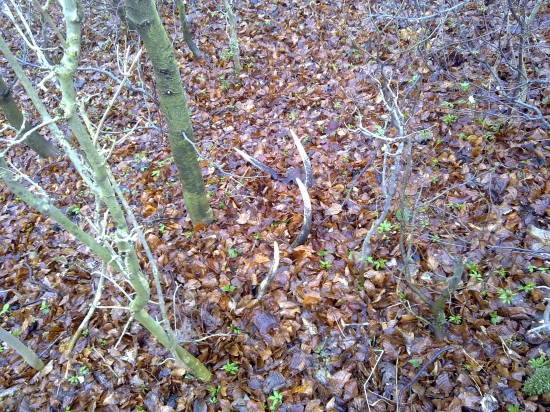 mna už picne toho tyždna len vlanajšie