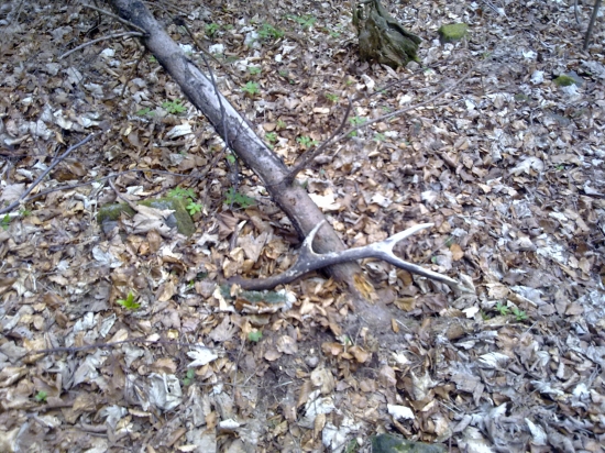 vravym toho tyžna  len .........