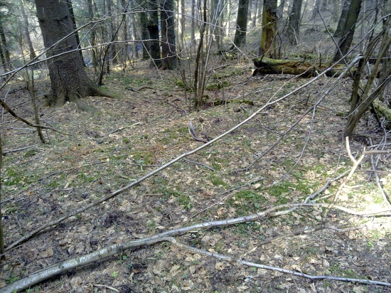 najkrajši pohlad je 1 pohlad