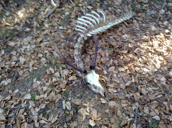 niečo čo ma vobec neteši