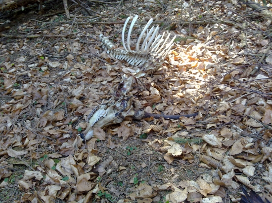 niečo čo ma vobec neteši 2