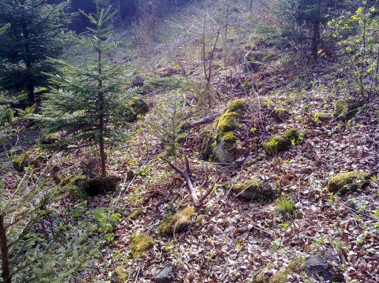 ale mi ide včera para a dnes znova